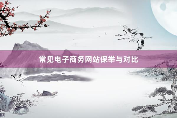 常见电子商务网站保举与对比