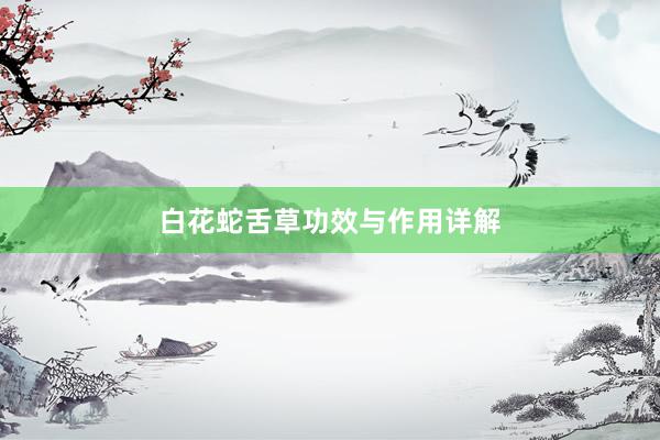 白花蛇舌草功效与作用详解