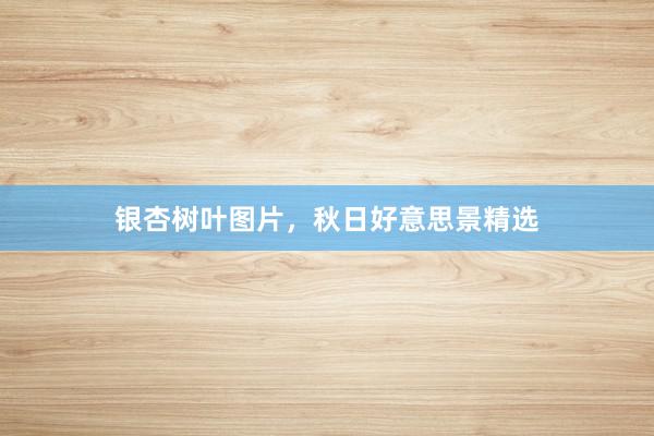 银杏树叶图片，秋日好意思景精选