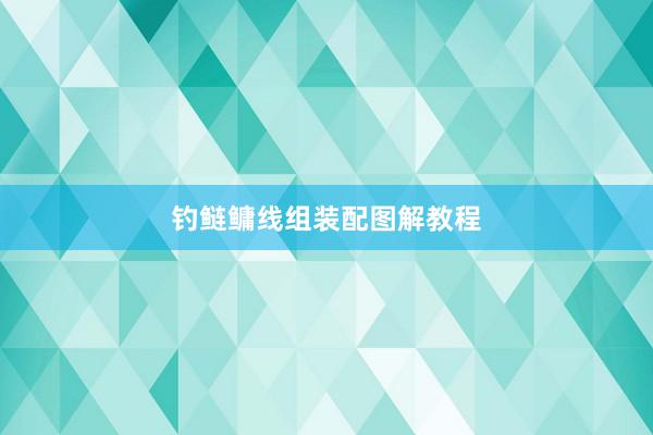 钓鲢鳙线组装配图解教程