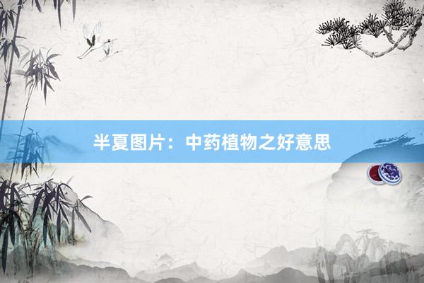 半夏图片：中药植物之好意思